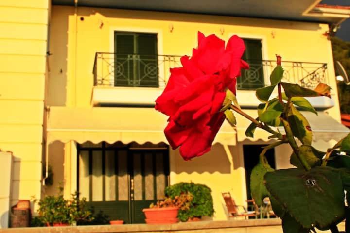 Guesthouse Bizani Néo Bizáni Kültér fotó